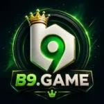 B9 game