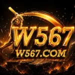 W567 game
